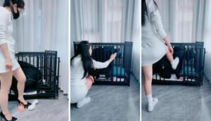 【芷镜小主】狗笼囚禁彻底犬化-字母网社区