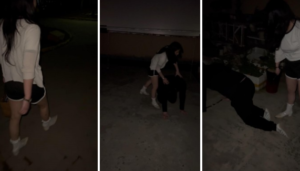 调教贱狗