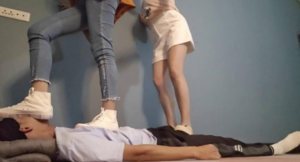 ˫