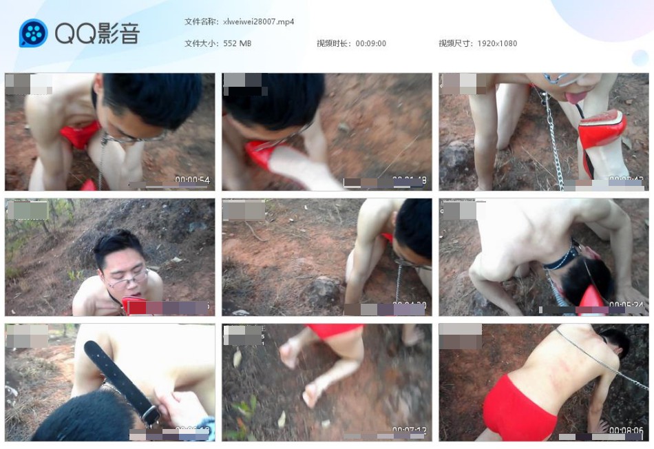 成都薇薇女王野外调教小贱狗_语言羞辱舔红色高跟黑丝美腿视频下载-字母网社区