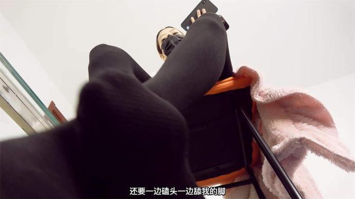 jinger65358-2.jpg