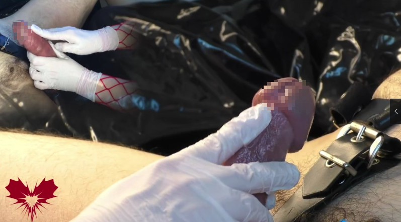 欧美女王_用白手套自慰我的公鸡锁精下虐马眼撸JB视频下载-字母网社区