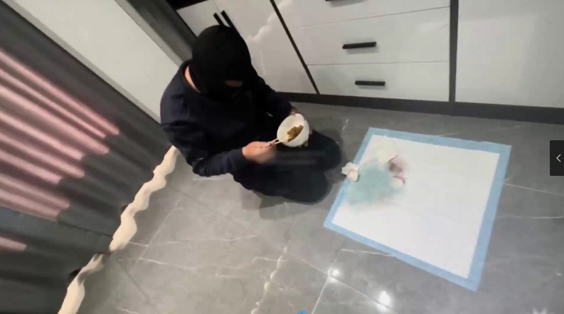 白衣黑裤女王_贱奴用狗碗接住大便后夹着吃黄金红金视频下载-字母网社区