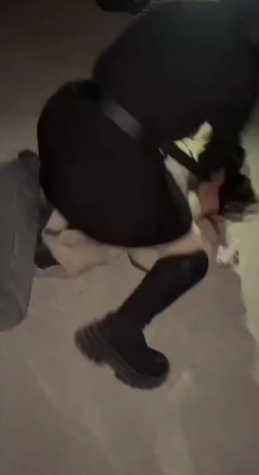 精神小妹们_户外踩踏踢踹霸凌懦弱嫩妹扒裤羞辱视频下载插图3