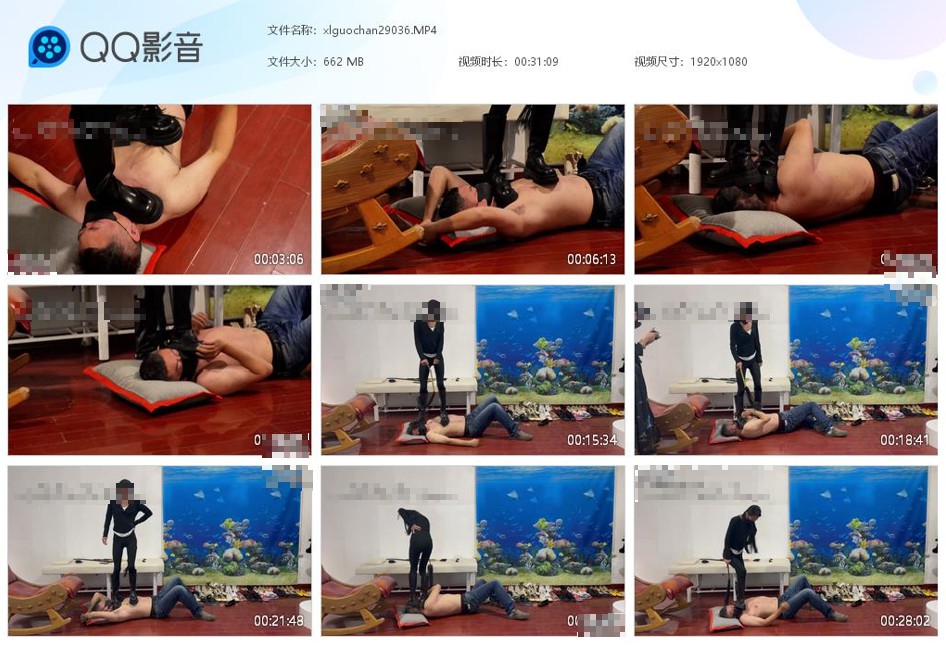 女S残酷踩踏惩罚贱狗_全体重踩狗头语言羞辱视频下载-字母网社区