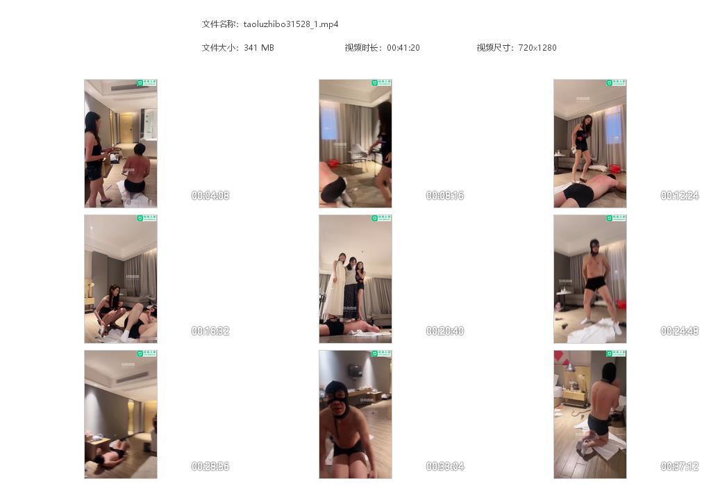 taoluzhibo31528_1.jpg