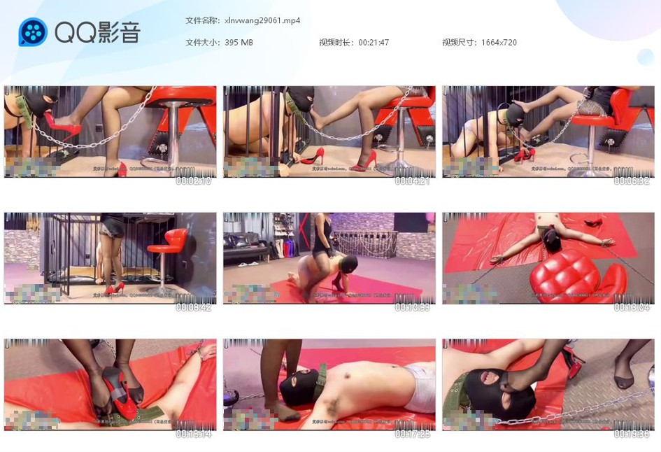 红焱S圈养调教狗奴狗笼囚禁_舔高跟黑丝玉足踩踏狗脸视频下载-字母网社区