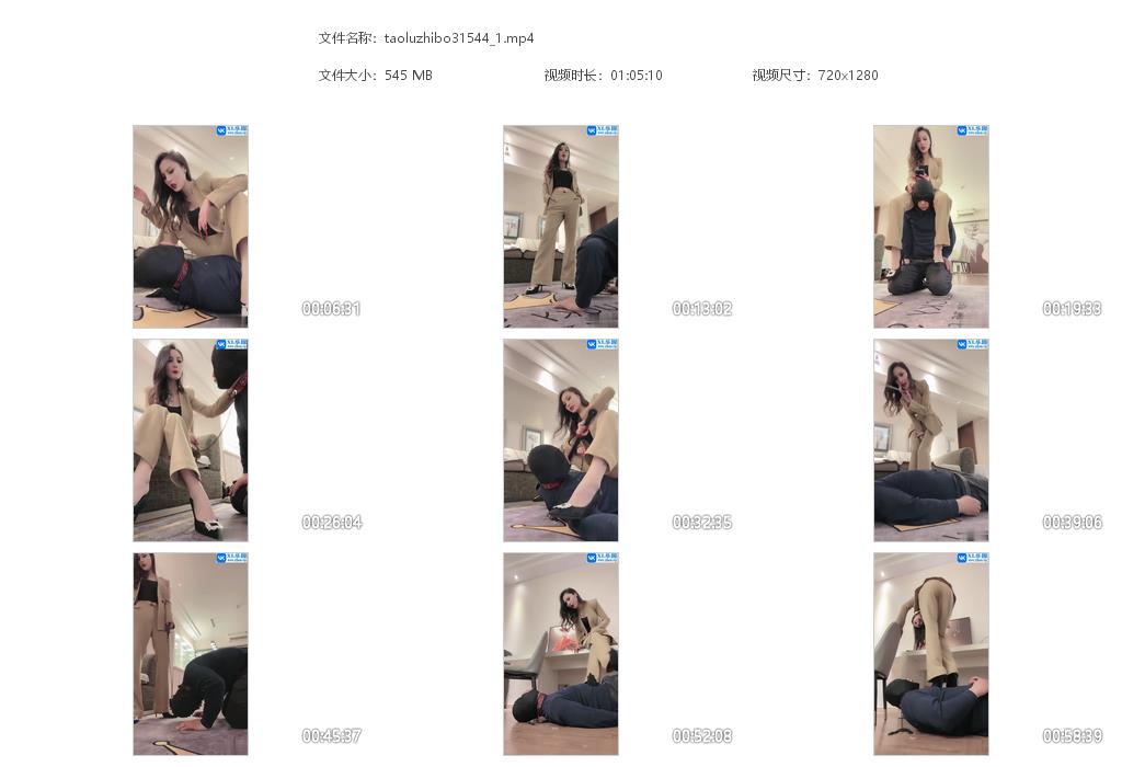 taoluzhibo31544_1.jpg
