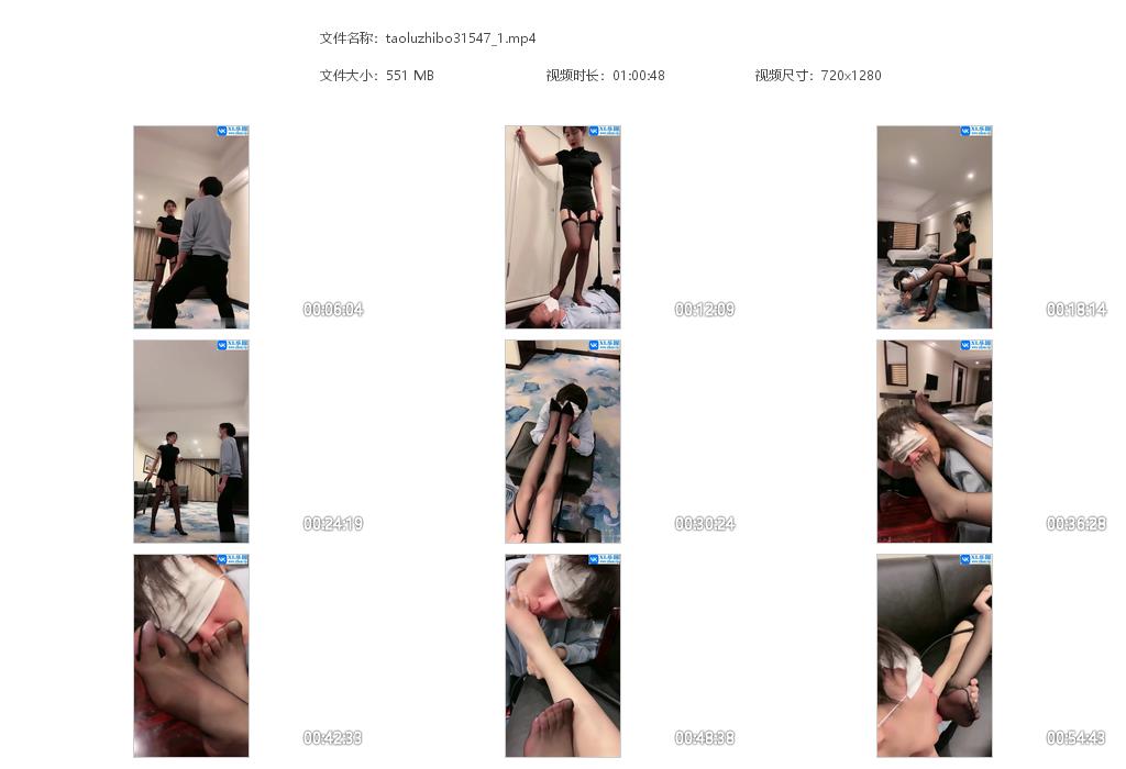 taoluzhibo31547_1.jpg
