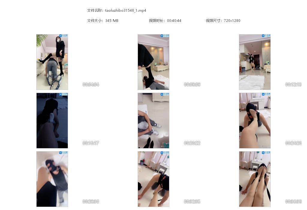 taoluzhibo31548_1.jpg