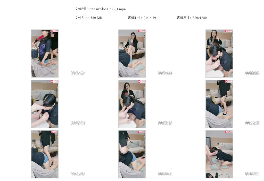 taoluzhibo31579_1.jpg
