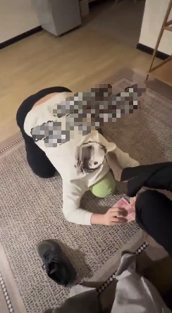 M男人脸炮台侍奉小神情侣主爱爱_口服阴毛龙种视频下载插图3